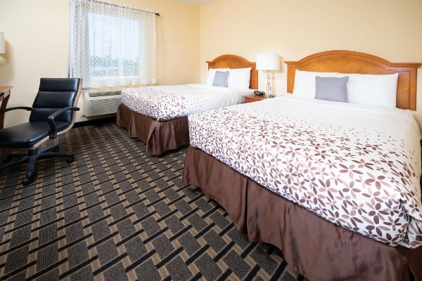Mt. Rose Hotel image 3